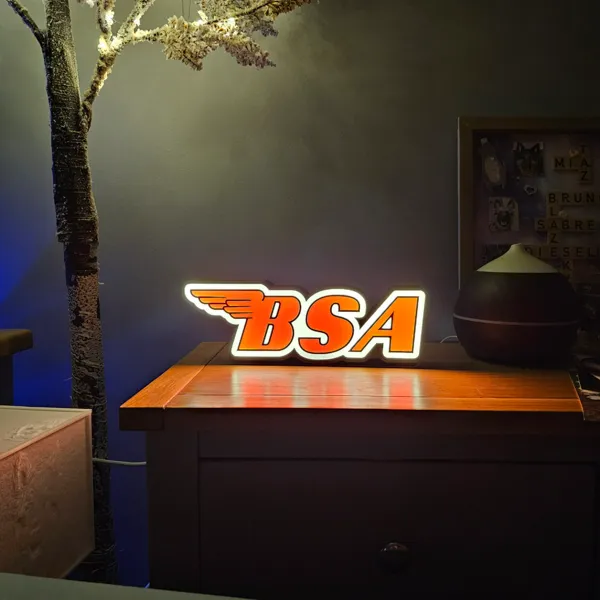 https://makerworld.bblmw.com/makerworld/model/USa0f18d83349648/design/2024-04-11_cb94bfe802999.jpg