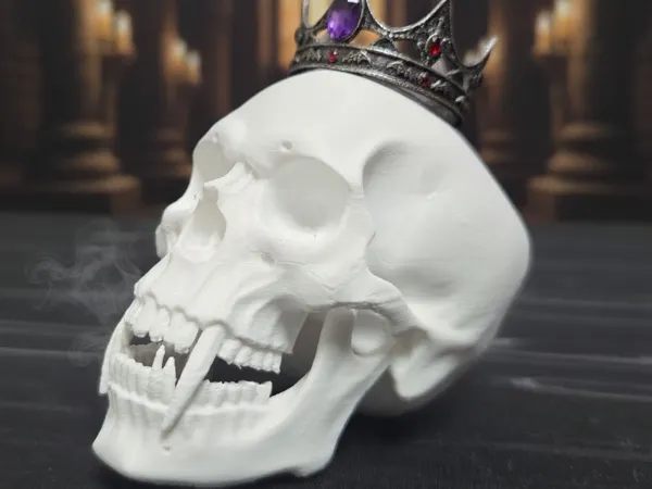 https://makerworld.bblmw.com/makerworld/model/USa0f31c1aab9128/design/2025-10-26_06f0ddf8ea367.jpg