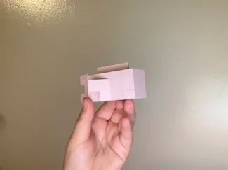 Minecraft fish