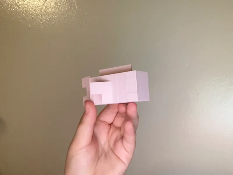 Minecraft fish