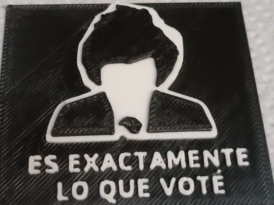 It's Exactly What I Voted For