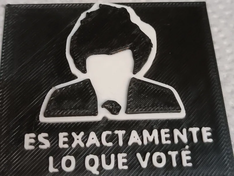Es Exactamente Lo Que Voté