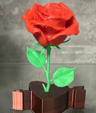 rosa autentica para san valentin