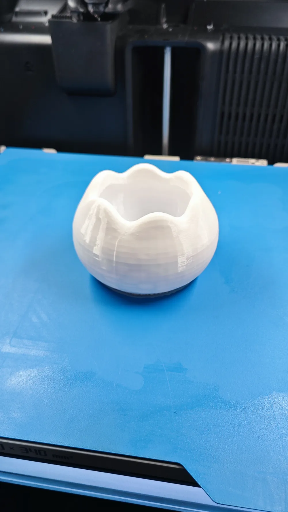 Succulent plant pot - Free 3D Print Model - MakerWorld