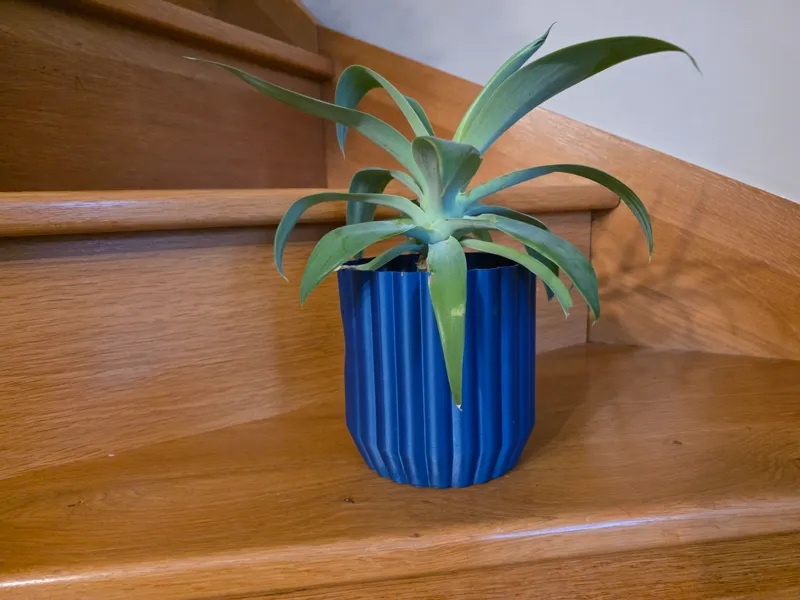 Pot de Fleur dentelé