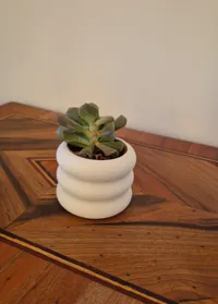 0.2mm layer, 2 walls, 5% infill