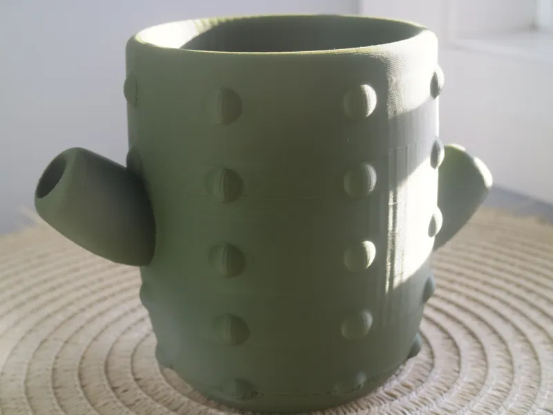 Cactus Plant Pot
