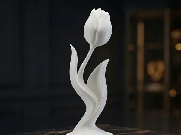https://makerworld.bblmw.com/makerworld/model/USa10714a195302a/design/72a8022638950dc0.png