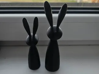 Bunny
