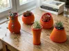Planter pack 2 color AMS Profile