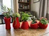 Planter pack single color Profile