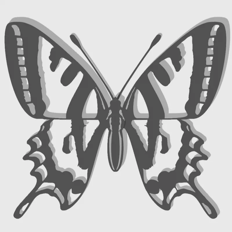 Swallowtail butterfly insect