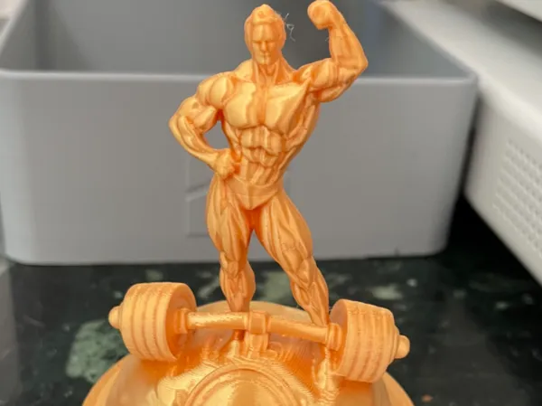 https://makerworld.bblmw.com/makerworld/model/USa10cce06df4493/design/2026-01-14_844006007ddcd8.jpeg