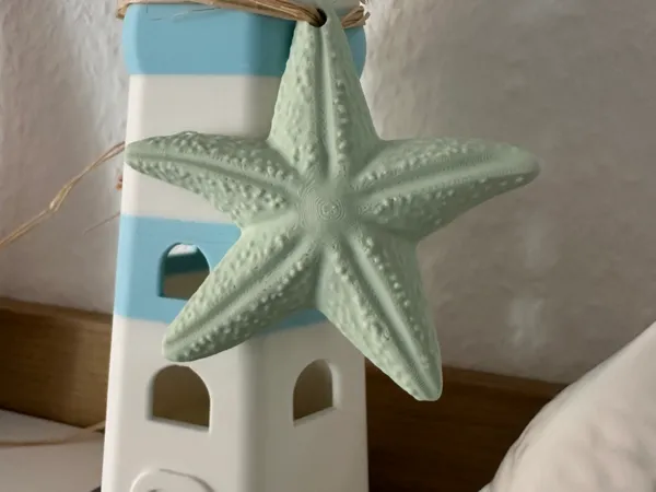 https://makerworld.bblmw.com/makerworld/model/USa10d5ee114cb7e/design/2025-05-10_27180c75b20a3.jpeg