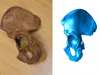 0.16mm layer, 2 walls, 15% infill
