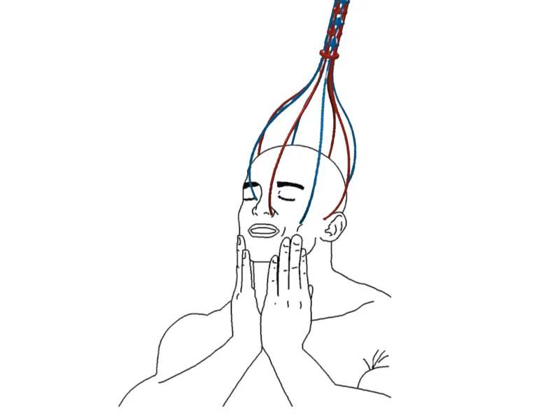 Head & Pet Scratcher