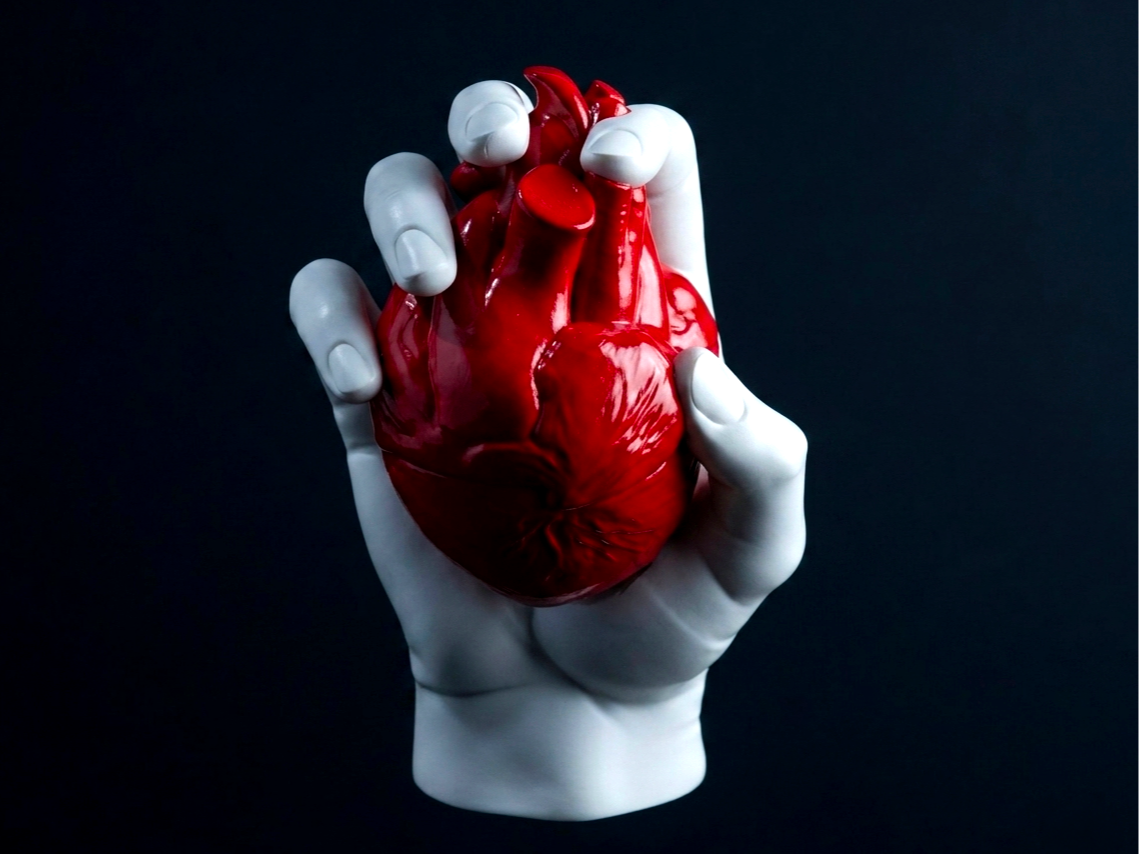 My Heart For You – Artistic Anatomical Sculpture