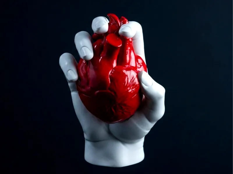 My Heart For You – Artistic Anatomical Sculpture