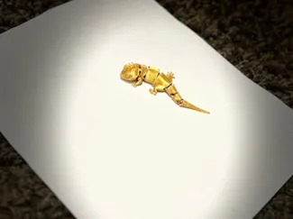 Articulated flexi joint gecko toy