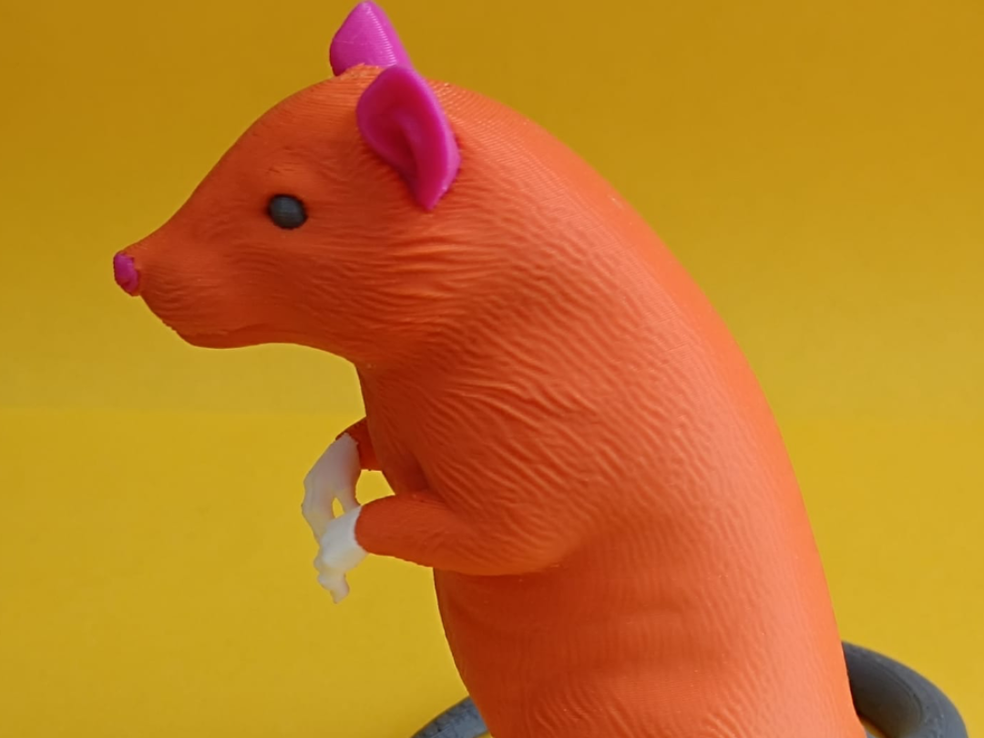 "The Curious Rat" - Realistic Standing Rat