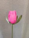 Single colour