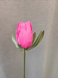 Single colour
