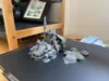 0.12mm layer, 2 walls, 7% infill