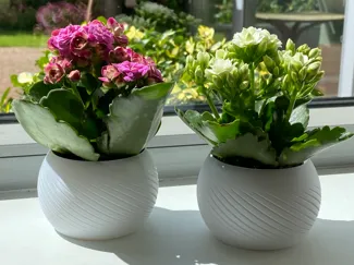 Flower Pot, Planter Small