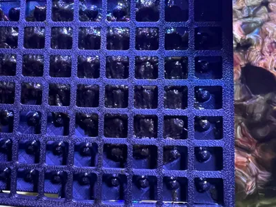 nori plate 2