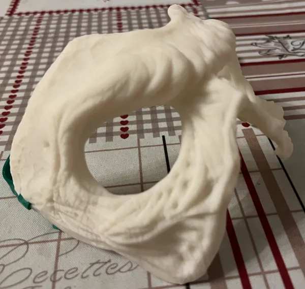 https://makerworld.bblmw.com/makerworld/model/USa138c8db564222/design/2024-10-21_c1e6fe11f3dc.jpeg