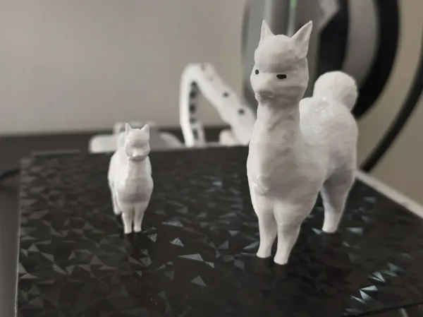 https://makerworld.bblmw.com/makerworld/model/USa1390425e59b80/design/2025-07-03_faf3ded0ef485.png