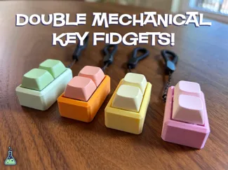 Double Key Switch Fidget Lanyard