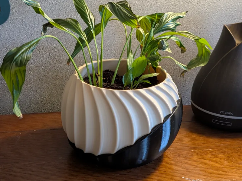 Big Swirly Planter with Drip Tray