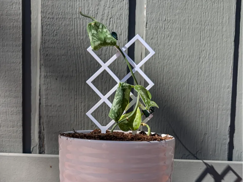 Diamond Trellis Plant Supporter