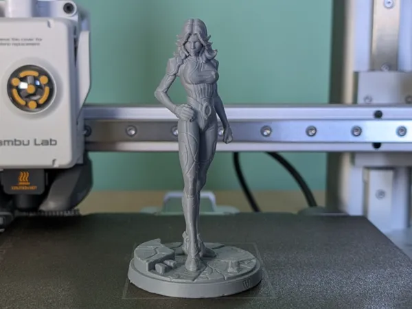 https://makerworld.bblmw.com/makerworld/model/USa1447c6f632672/design/201c7f3ae5eb4784.jpg