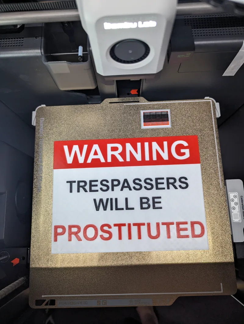 Warning Trespassers will be Prostituted