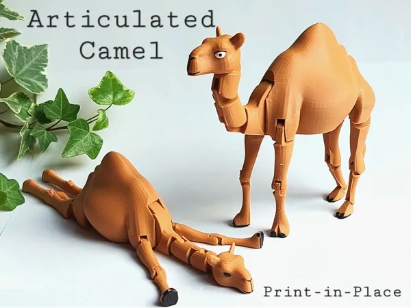 https://makerworld.bblmw.com/makerworld/model/USa14c482afa8f57/design/2024-09-03_234725441b853.jpg