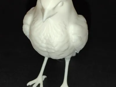 Magpie / realistic bird print 