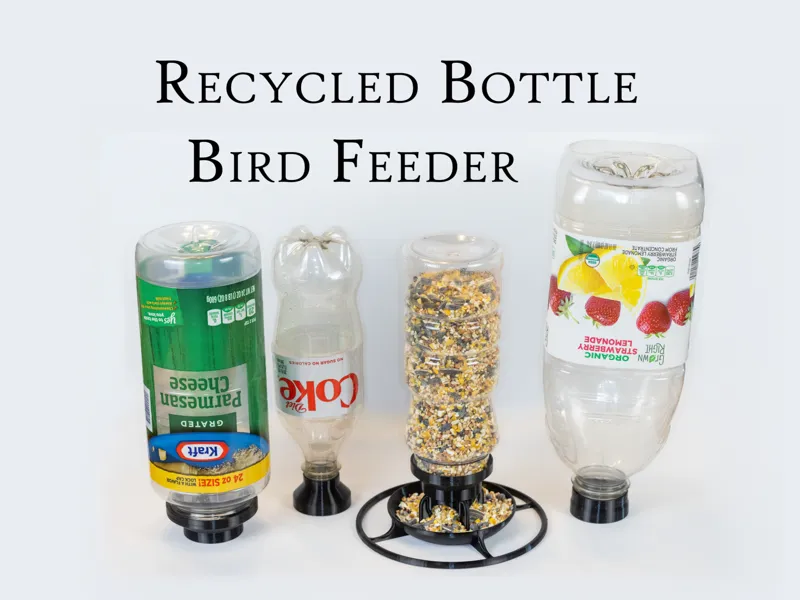Recycled Bottle Bird Feeder