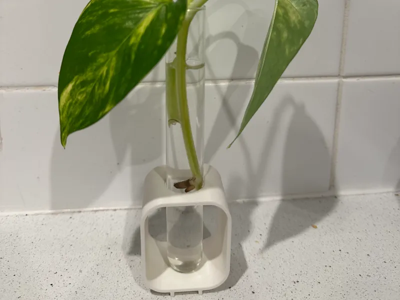 Propagation Station - Test Tube Holder (5 sizes)