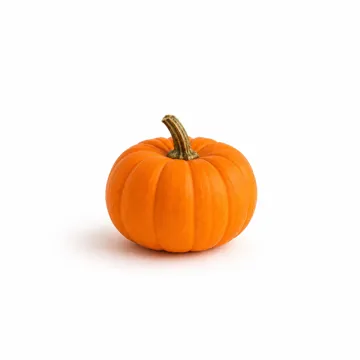Objeto manipulable: smooth twisty pumpkin fidget(public domain) — vista de referencia 3