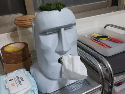 Emo-Tissues Box-Succulent Plants