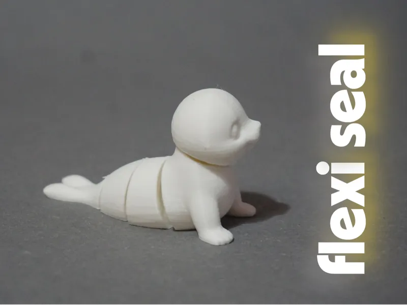 flexi seal