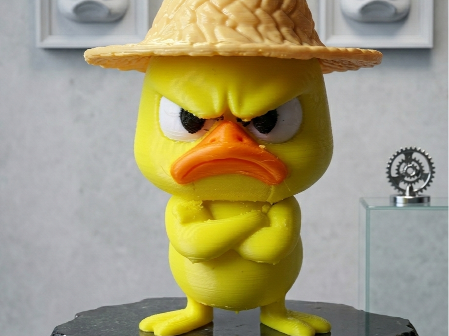 Paperella arrabbiata - Fantastica idea regalo