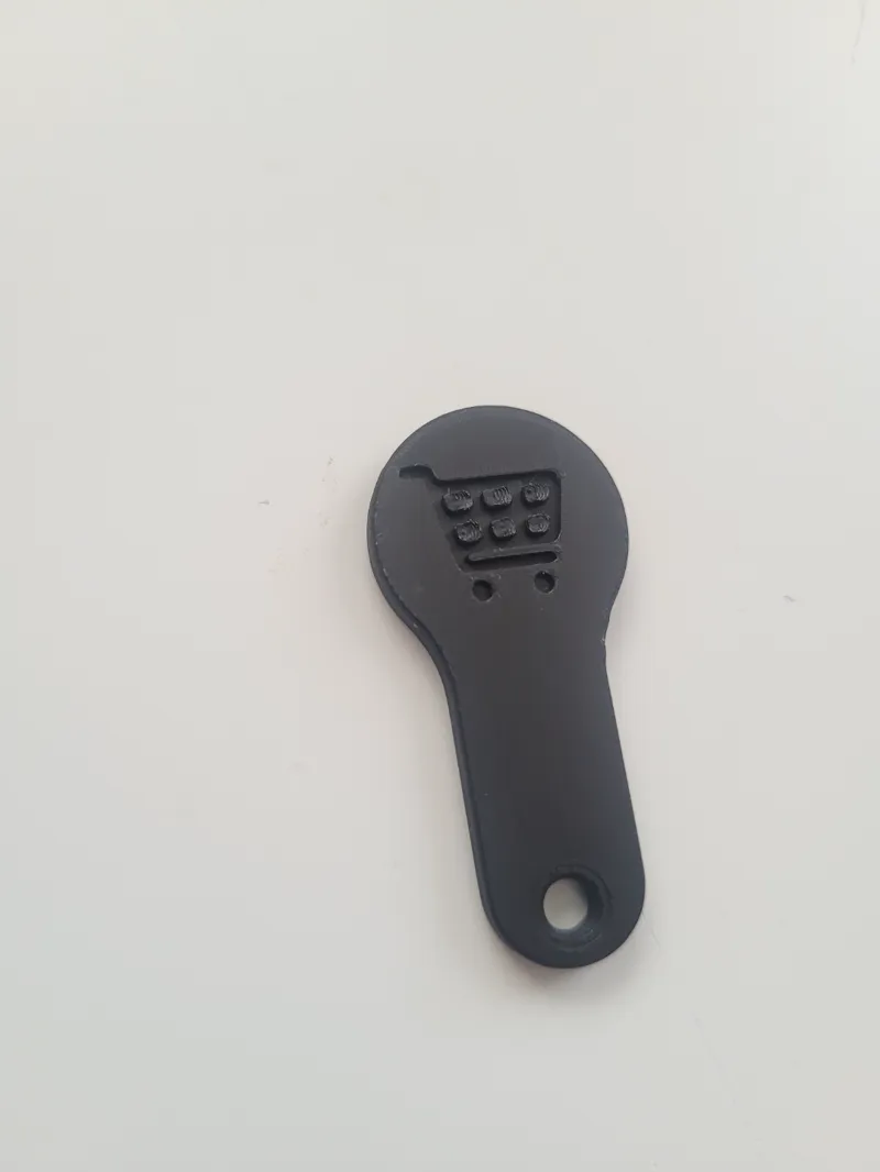 Shopping cart coin