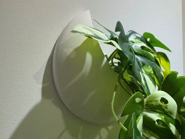 https://makerworld.bblmw.com/makerworld/model/USa163549a6021c/design/2025-07-05_1cc2ae30b656.jpg