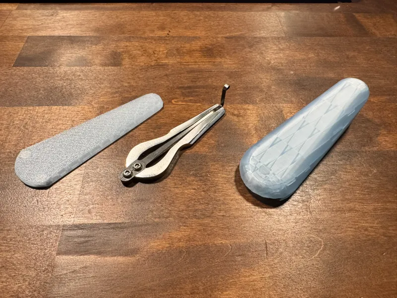 Mouth Harp Case