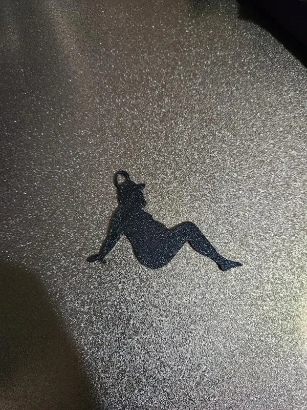 https://makerworld.bblmw.com/makerworld/model/USa1743d6ee3bda2/design/2024-02-15_1ee0a7e13db49.jpg