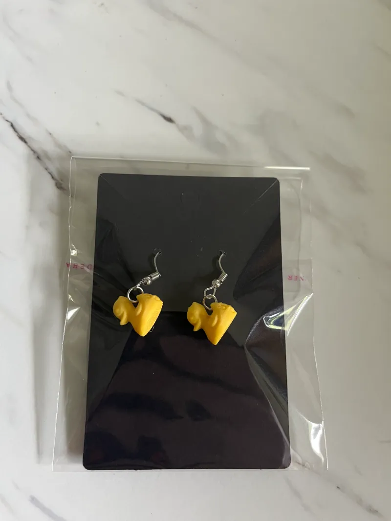 pair of duck earrings