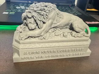 A Lion never loses sleep